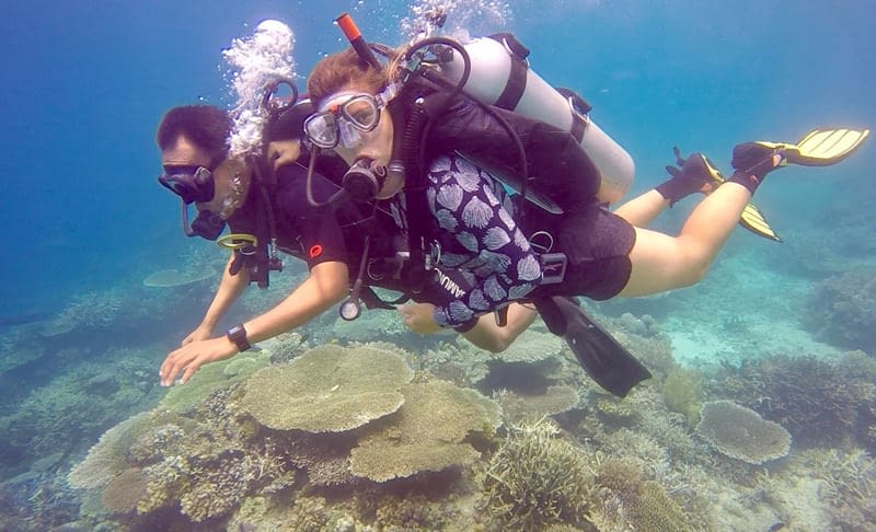 underwater-dsd-marine-conservation-philippines - Marine Conservation
