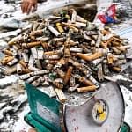 Massive amounts of cigarette butts very collected
