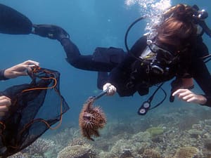 MCP Volunteer diver removing a COT